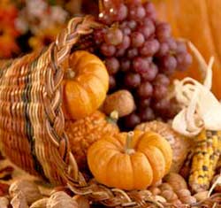 happy thanksgiving